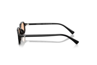 Side view Emporio Armani EA4253U (501793)