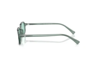 Side view Emporio Armani EA4253U (627065)
