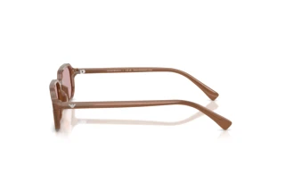Side view Emporio Armani EA4253U (627173)