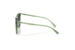 Side view Emporio Armani EA4255D (536287)
