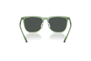 Rear view Emporio Armani EA4255D (536287)