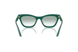 Rear view Emporio Armani EA4259U (63248E)