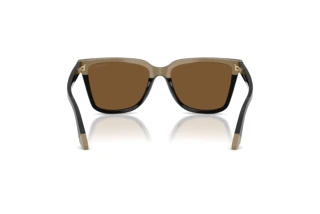 Rear view Emporio Armani EA4261 (631373)