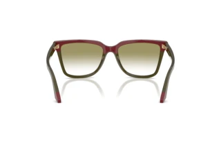 Rear view Emporio Armani EA4261 (6316W0)