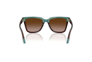 Rear view Emporio Armani EA4261 (631813)