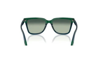 Rear view Emporio Armani EA4261 (631919)