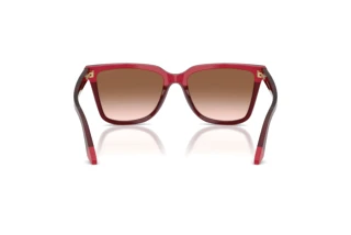Rear view Emporio Armani EA4261 (632013)