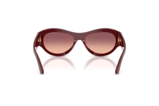Rear view Emporio Armani EA4265U (63238D)