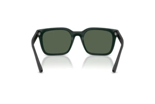 Rear view Emporio Armani EA4269 (637071)