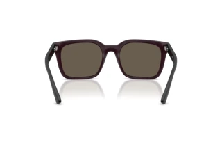 Rear view Emporio Armani EA4269 (6371/3)