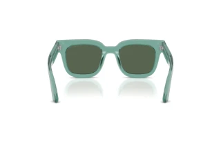 Rear view Emporio Armani EA4271 (636571)