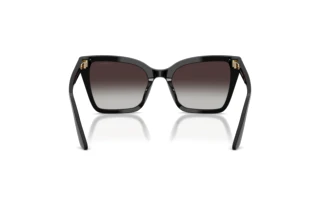 Rear view Emporio Armani EA4273BU (50178G)