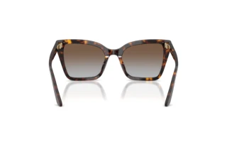 Rear view Emporio Armani EA4273BU (502689)