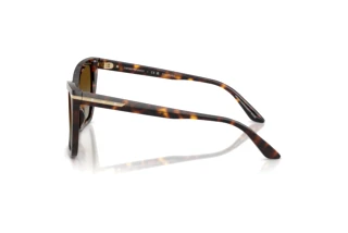 Side view Emporio Armani EA4273BU (5026T5)