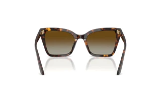 Rear view Emporio Armani EA4273BU (5026T5)
