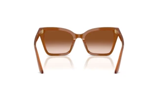 Rear view Emporio Armani EA4273BU (637613)