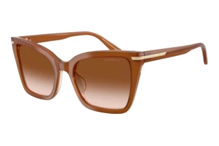 Front view Emporio Armani EA4273BU (637613)