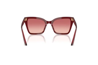 Rear view Emporio Armani EA4273BU (6377A5)
