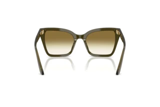 Rear view Emporio Armani EA4273BU (63788E)
