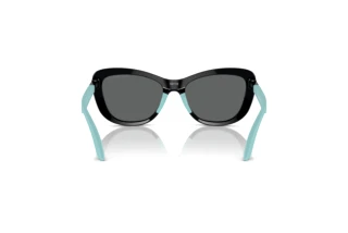 Rear view Emporio Armani EK4004 (501787)