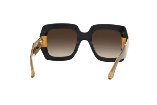 Rear view Etro ETRO 0011/S (71C/HA)