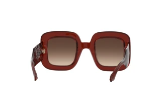 Rear view Etro ETRO 0015/S (2LF/HA)