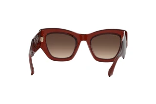 Rear view Etro ETRO 0017/S (2LF/HA)