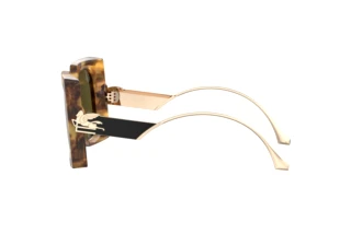 Side view Etro ETRO 0026/S (EPZ/QT)