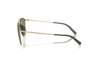 Side view Giorgio Armani AR6110 (30022A)
