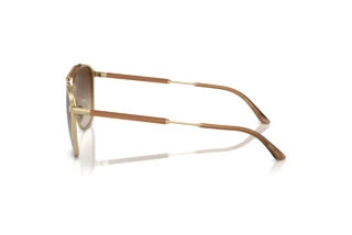 Side view Giorgio Armani AR6149 (300213)