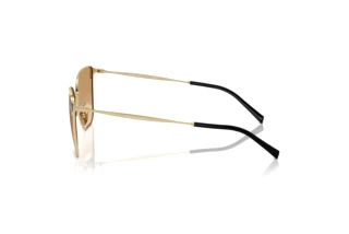 Side view Giorgio Armani AR6155 (301313)