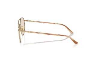 Side view Giorgio Armani AR6156 (3002M4)