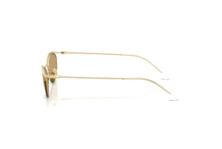 Side view Giorgio Armani AR6175 (301373)