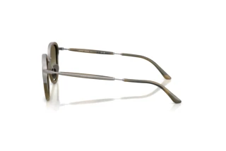 Side view Giorgio Armani AR6176 (30038E)