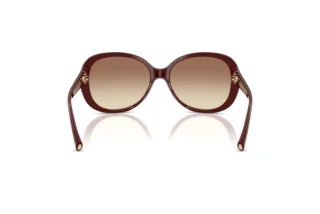 Rear view Giorgio Armani AR8047 (639913)