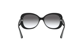 Rear view Giorgio Armani AR8132 (500111)