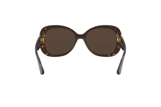 Rear view Giorgio Armani AR8132 (502673)