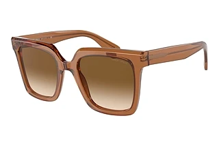 Front view Giorgio Armani AR8156 (593251)