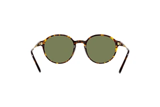 Rear view Giorgio Armani AR8160 (50262A)
