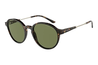 Front view Giorgio Armani AR8160 (50262A)