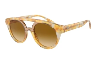 Front view Giorgio Armani AR8163 (57612L)