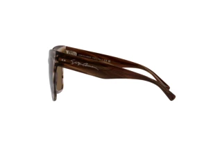 Side view Giorgio Armani AR8175 (595473)