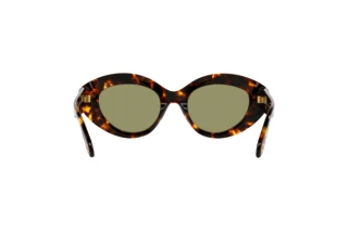 Rear view Giorgio Armani AR8188 (599314)