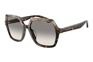 Giorgio Armani AR8193U 587932