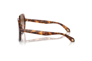 Side view Giorgio Armani AR8193U (603351)