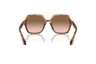 Rear view Giorgio Armani AR8193U (603351)