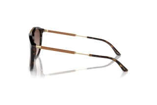Side view Giorgio Armani AR8198 (502613)