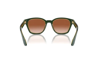 Rear view Giorgio Armani AR8207 (608613)