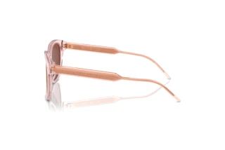Side view Giorgio Armani AR8210U (6073C5)
