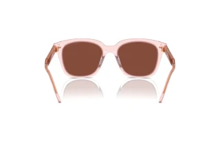 Rear view Giorgio Armani AR8210U (6073C5)